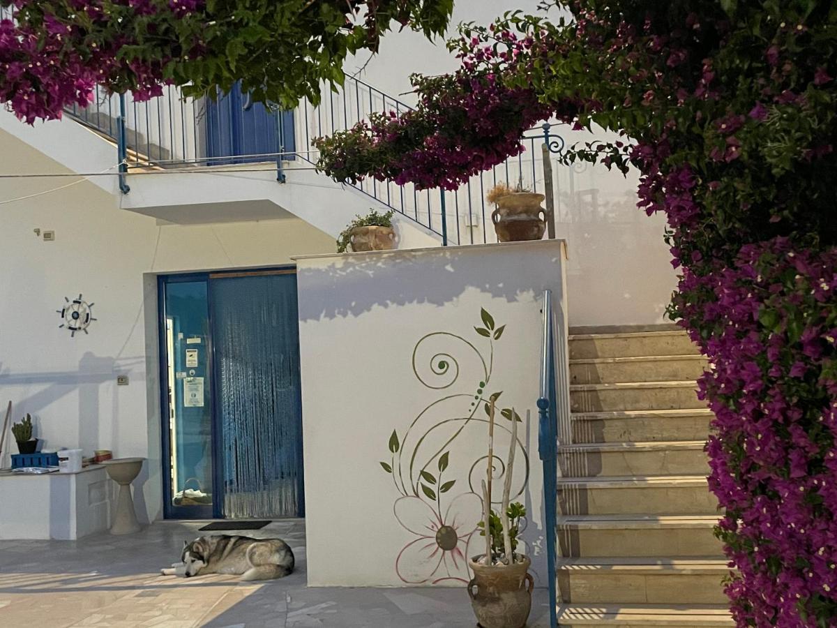 Apartment La Margherita Case Vacanze